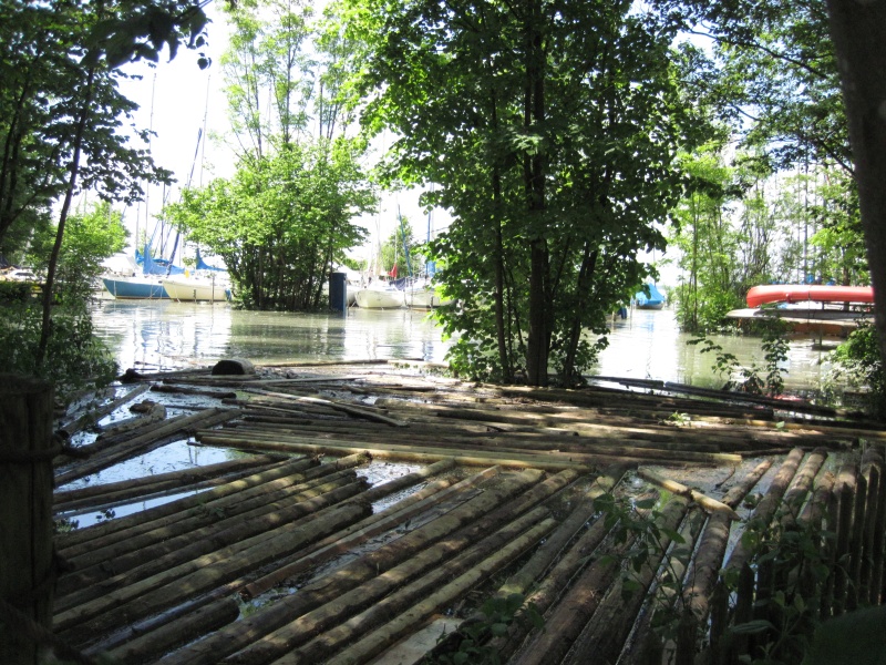 hochwasser2013-15.jpg